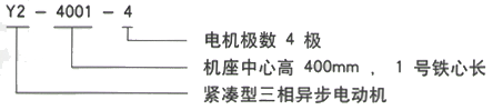 YR系列(H355-1000)高压YKS5001-10三相异步电机西安西玛电机型号说明